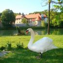 Gospodična-Trdinov vrh; Mirna g.-8.5.2011