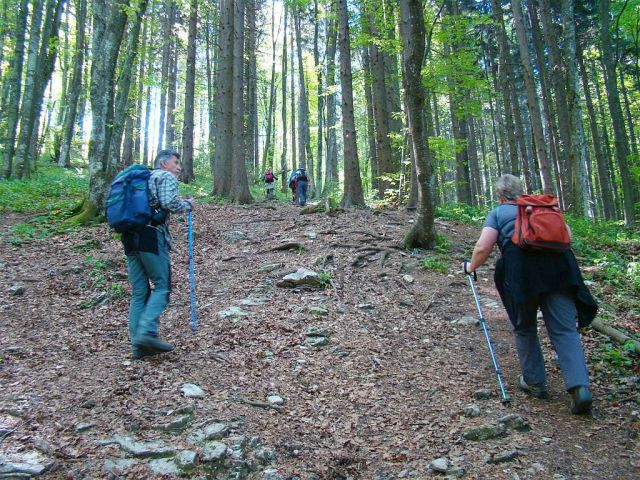 Gospodična-Trdinov vrh; Mirna g.-8.5.2011 - foto