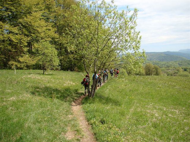 Gospodična-Trdinov vrh; Mirna g.-8.5.2011 - foto
