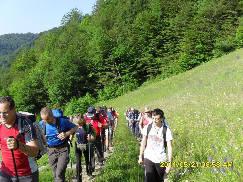 Tošč-Polhograjska Grmada-21.5.2011 - foto povečava