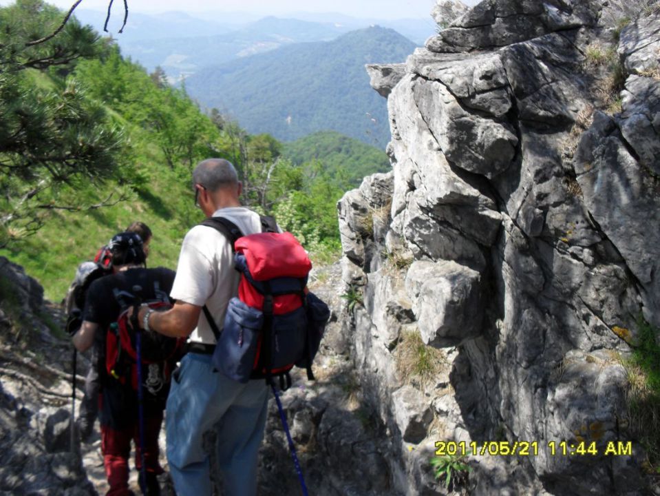 Tošč-Polhograjska Grmada-21.5.2011 - foto povečava