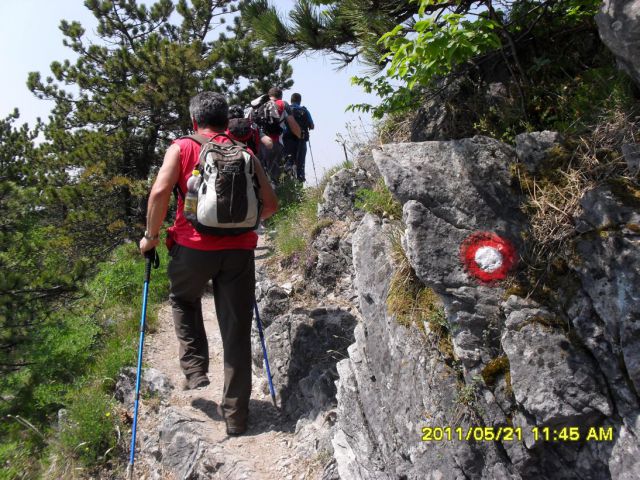 Tošč-Polhograjska Grmada-21.5.2011 - foto