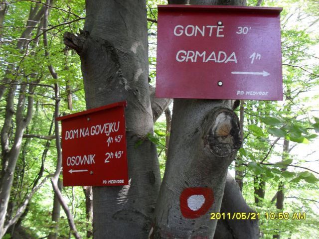 Tošč-Polhograjska Grmada-21.5.2011 - foto
