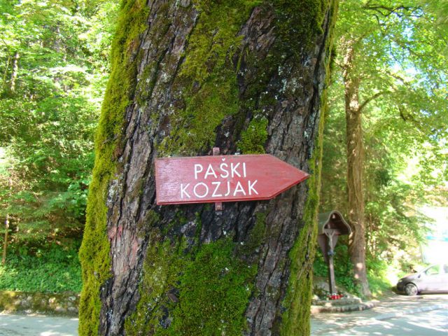 Dobrna-Špik-Paški Kozjak-29.5.2011 - foto