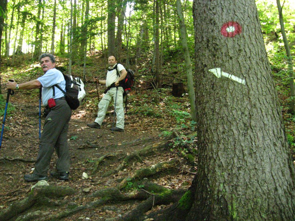 Dobrna-Špik-Paški Kozjak-29.5.2011 - foto povečava