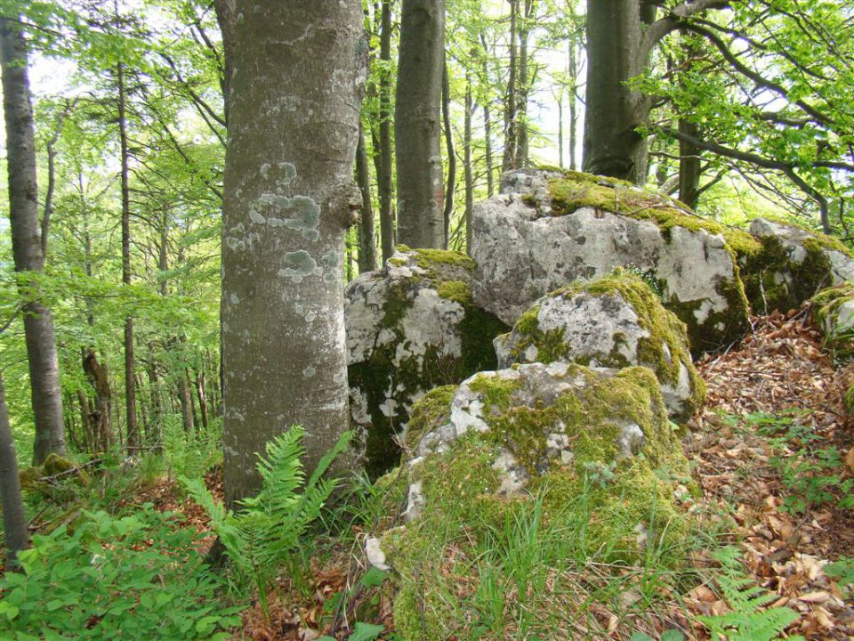 Dobrna-Špik-Paški Kozjak-29.5.2011 - foto povečava