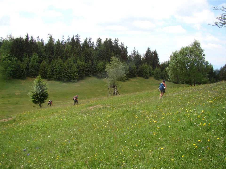 Dobrna-Špik-Paški Kozjak-29.5.2011 - foto povečava