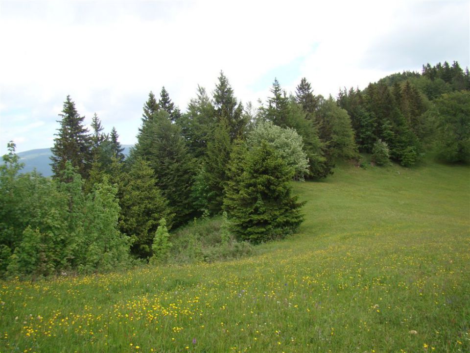 Dobrna-Špik-Paški Kozjak-29.5.2011 - foto povečava