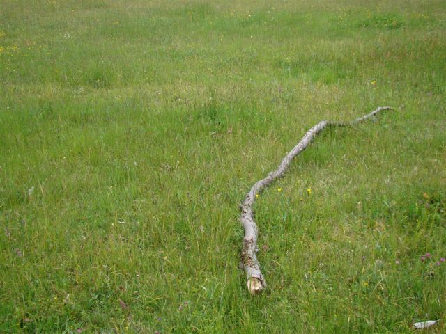 Dobrna-Špik-Paški Kozjak-29.5.2011 - foto