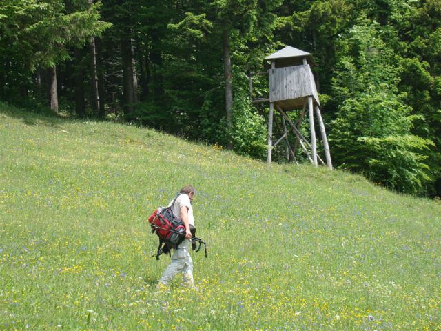 Dobrna-Špik-Paški Kozjak-29.5.2011 - foto