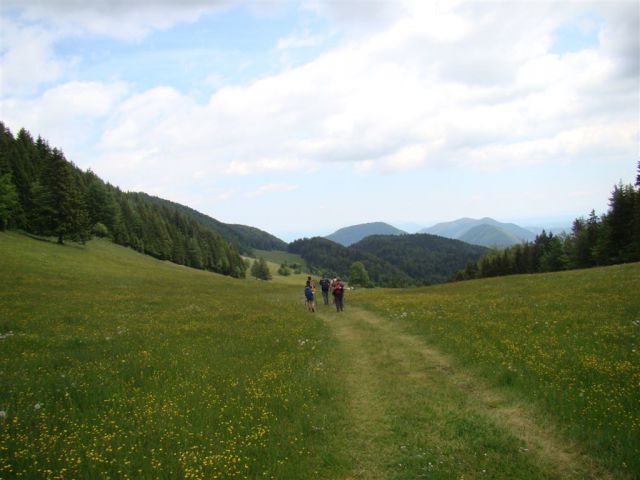 Dobrna-Špik-Paški Kozjak-29.5.2011 - foto