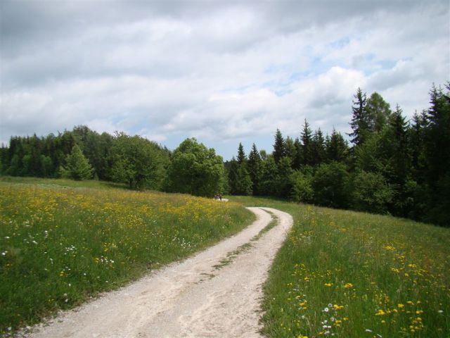 Dobrna-Špik-Paški Kozjak-29.5.2011 - foto