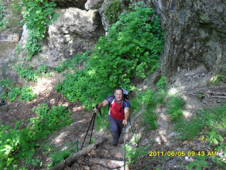 Bohorski slapovi-Bohor-5.6.2011 - foto povečava
