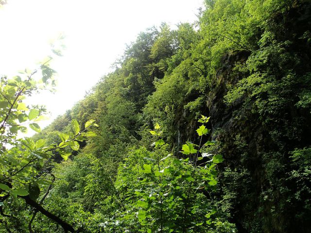Bohorski slapovi-Bohor-5.6.2011 - foto