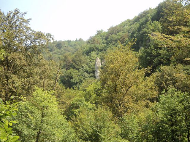 Bohorski slapovi-Bohor-5.6.2011 - foto
