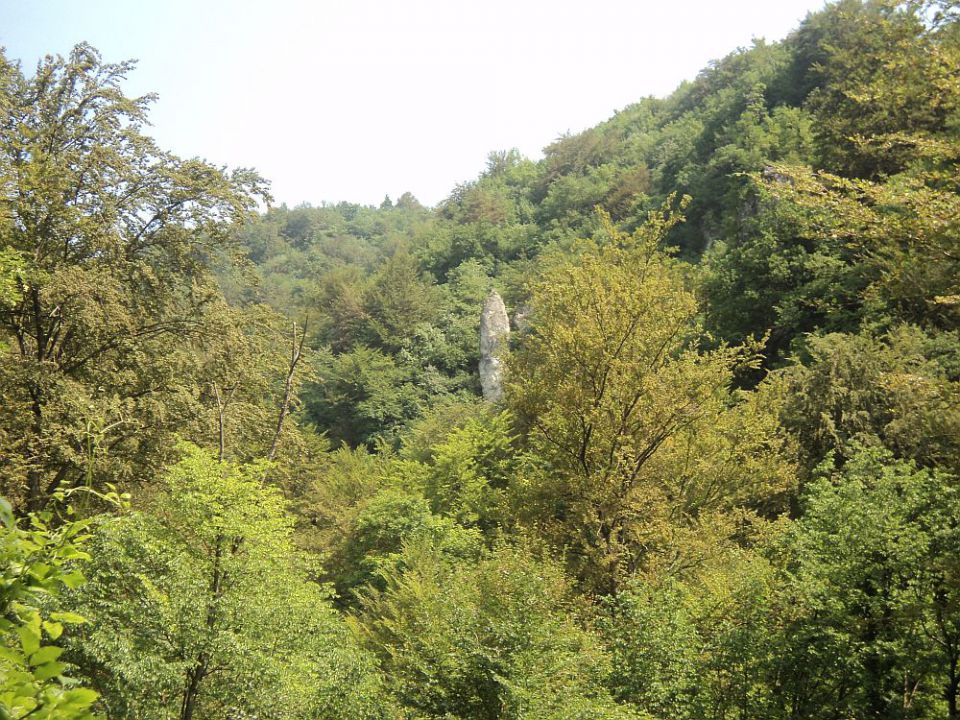 Bohorski slapovi-Bohor-5.6.2011 - foto povečava