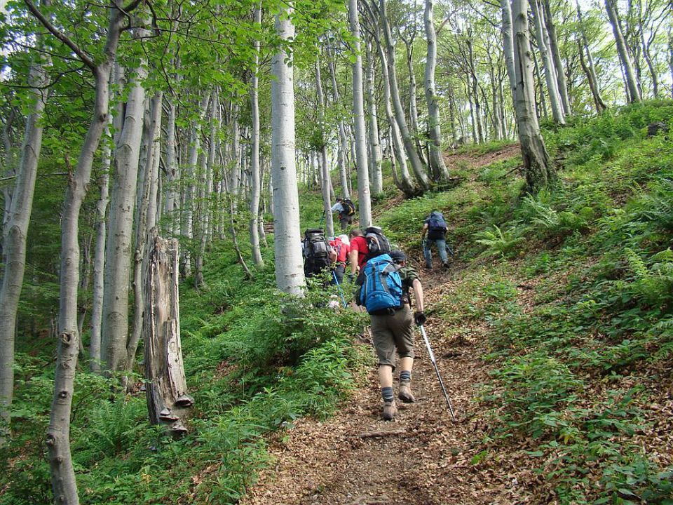 Stržišče-Črna prst-Rodica-12.6.2011 - foto povečava