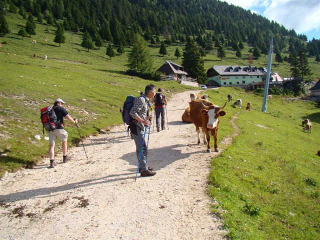 Krvavec-Vrh Korena-Kalški greben-26.6.2011 - foto