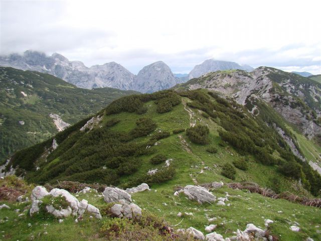 Krvavec-Vrh Korena-Kalški greben-26.6.2011 - foto