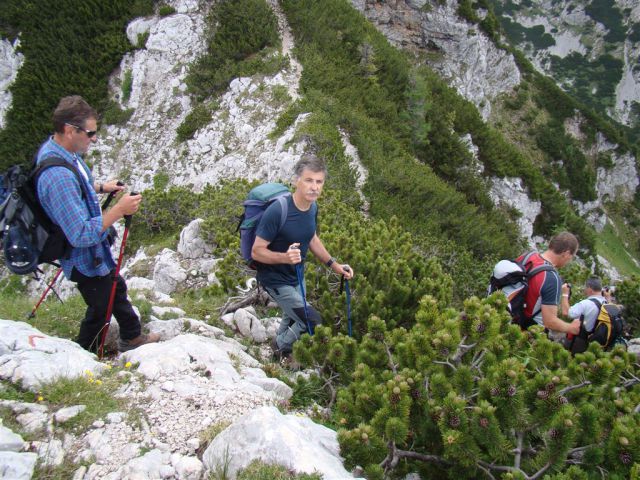 Krvavec-Vrh Korena-Kalški greben-26.6.2011 - foto