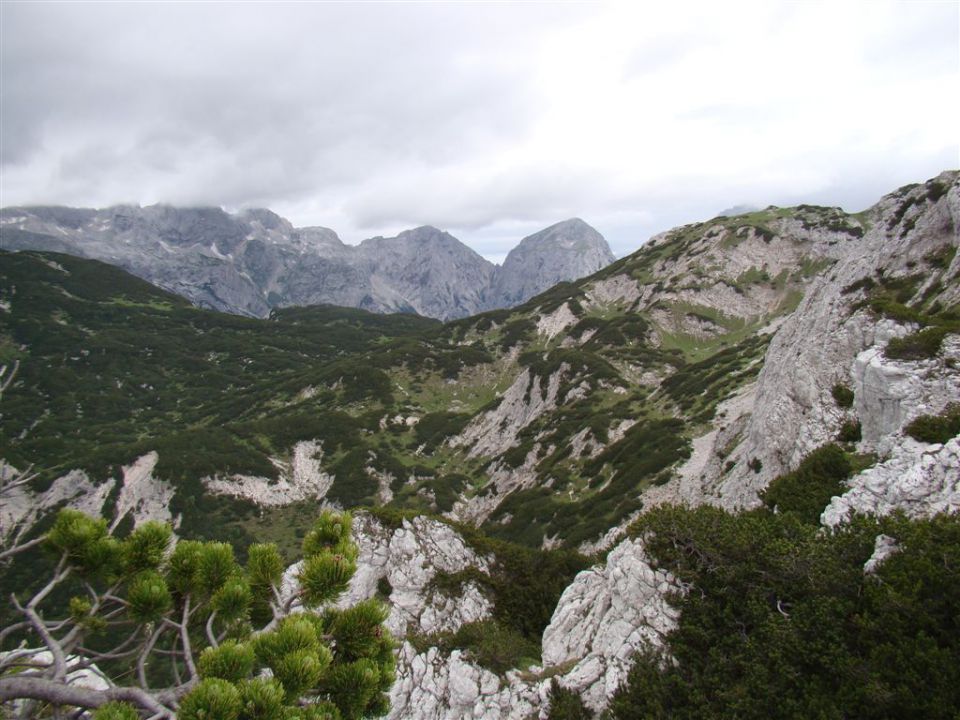 Krvavec-Vrh Korena-Kalški greben-26.6.2011 - foto povečava