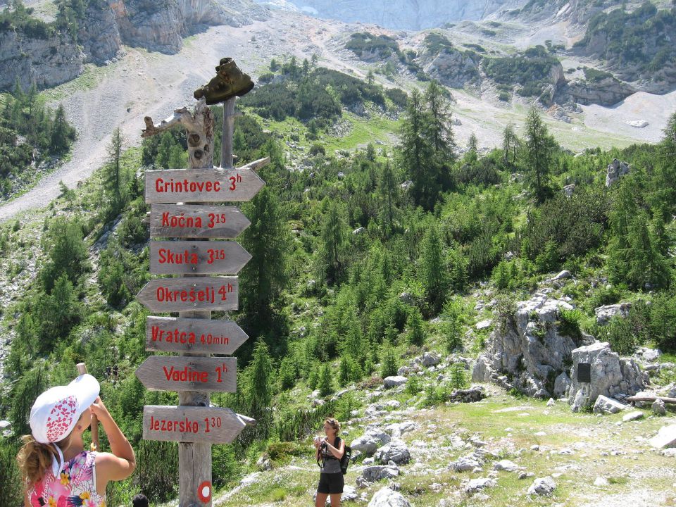 Rinka-Okrešelj-Ledine-Češka koča-10.7.2011 - foto povečava