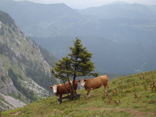 Prtovč-Ratitovec+Škofja Loka-Lubnik-16.7.11 - foto