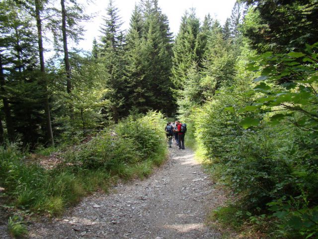 Prtovč-Ratitovec+Škofja Loka-Lubnik-16.7.11 - foto