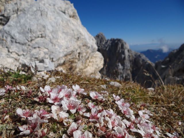 Vrata-Bivak-Škrlatica-2.10.2011 - foto