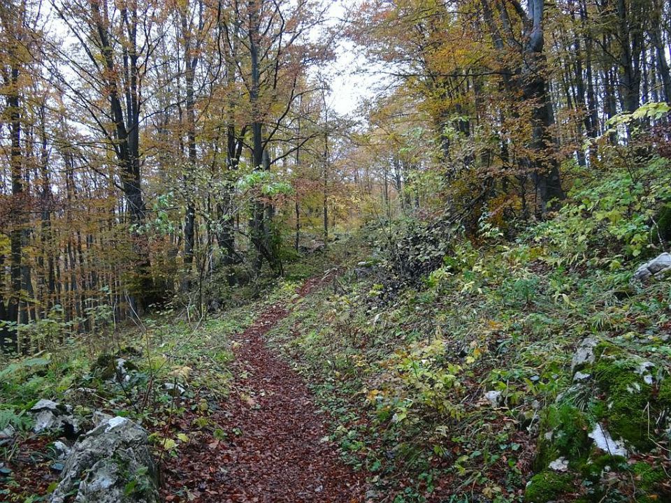 Zidani most-Škratova dolina-Kum-30.10.2011 - foto povečava