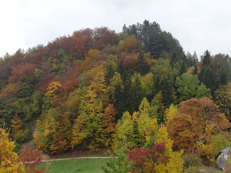 Zidani most-Škratova dolina-Kum-30.10.2011 - foto povečava