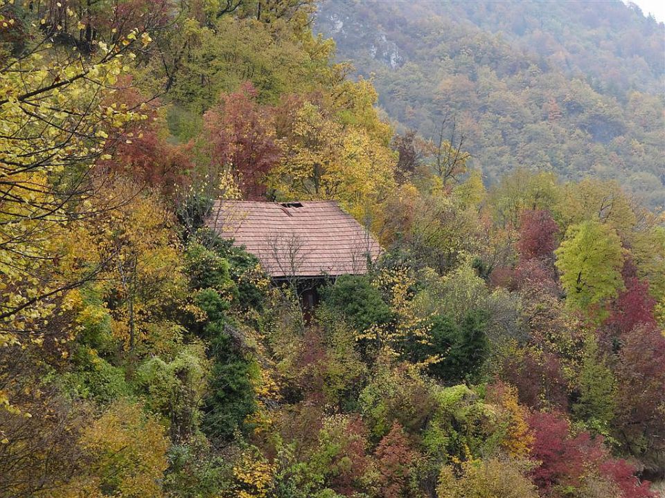 Zidani most-Škratova dolina-Kum-30.10.2011 - foto povečava