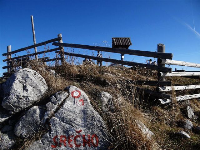 Gozd-Kriška gora-Tolsti vrh-19.11.2011 - foto