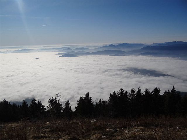 Gozd-Kriška gora-Tolsti vrh-19.11.2011 - foto