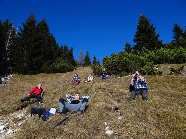 Gozd-Kriška gora-Tolsti vrh-19.11.2011 - foto