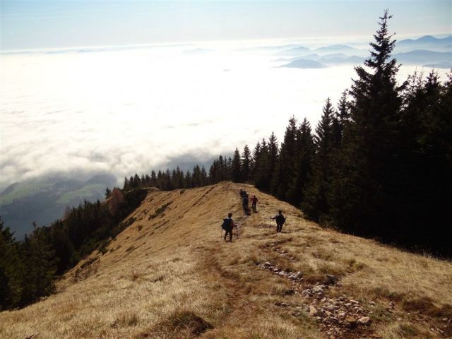 Gozd-Kriška gora-Tolsti vrh-19.11.2011 - foto