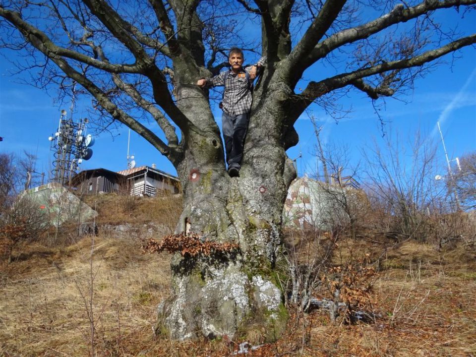 Krim in Šmarna gora-27.11.2011 - foto povečava