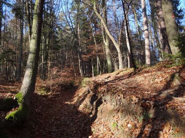 Krim in Šmarna gora-27.11.2011 - foto