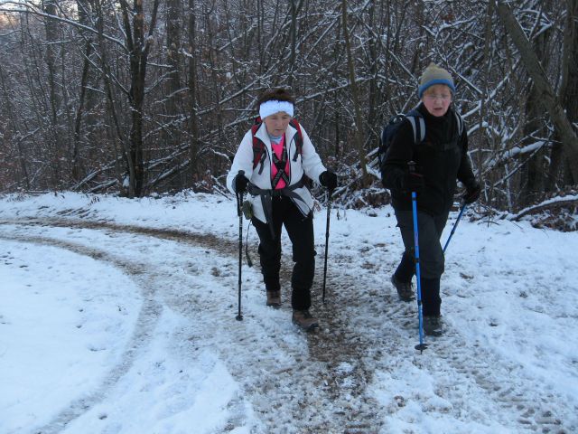 Zaključni pohod društva Resevna-18.12.11 - foto