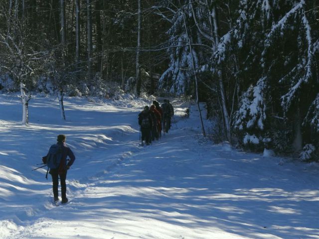 Zaključni pohod društva Resevna-18.12.11 - foto