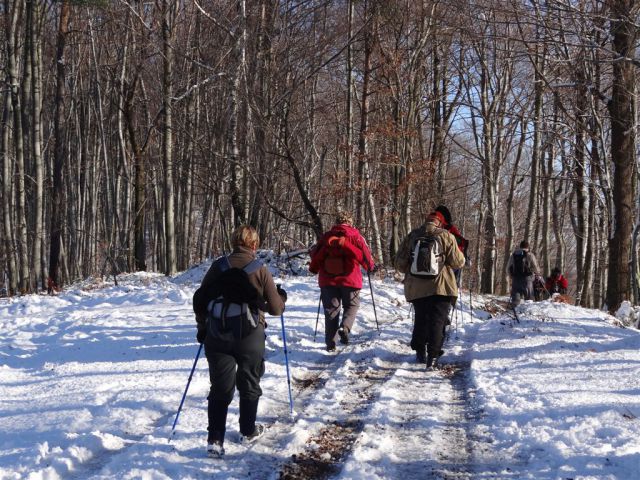 Zaključni pohod društva Resevna-18.12.11 - foto