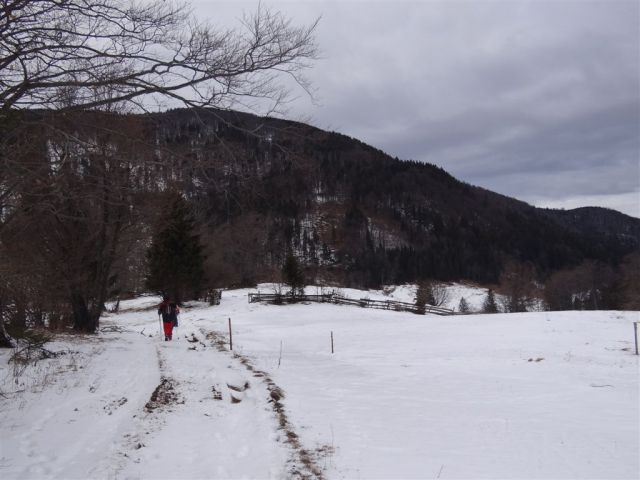 Slopi-Planina Biba-Dom na Menini-26.12.2011 - foto