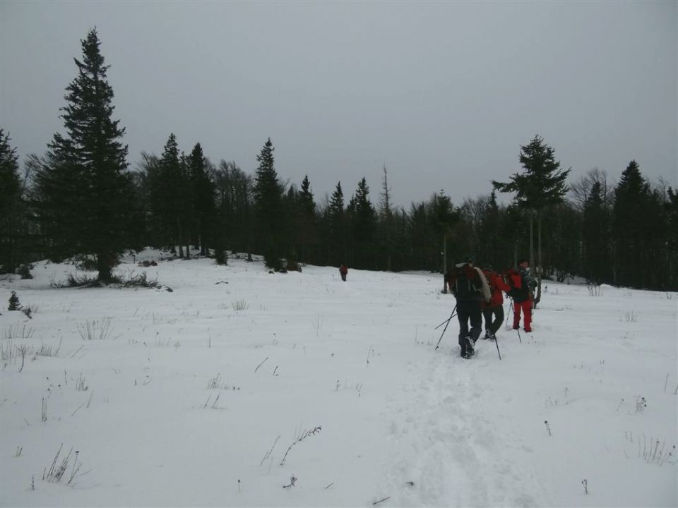 Slopi-Planina Biba-Dom na Menini-26.12.2011 - foto povečava