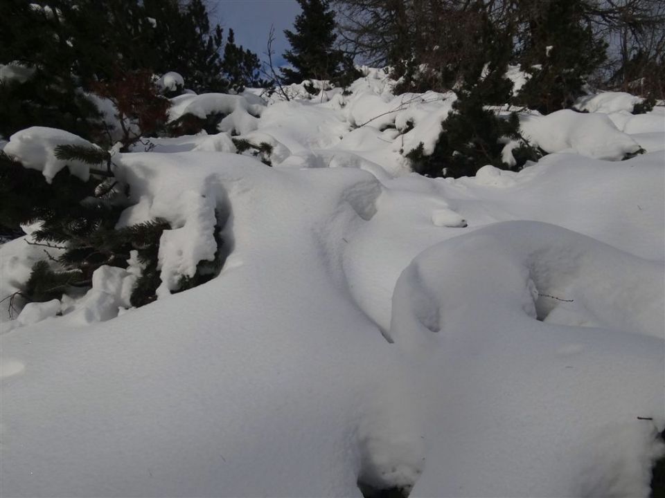 Topla-Mala Peca-Peca-8.1.2012 - foto povečava