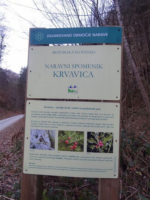 Loke-Krvavica-Čemšeniška plan.-15.1.2012 - foto