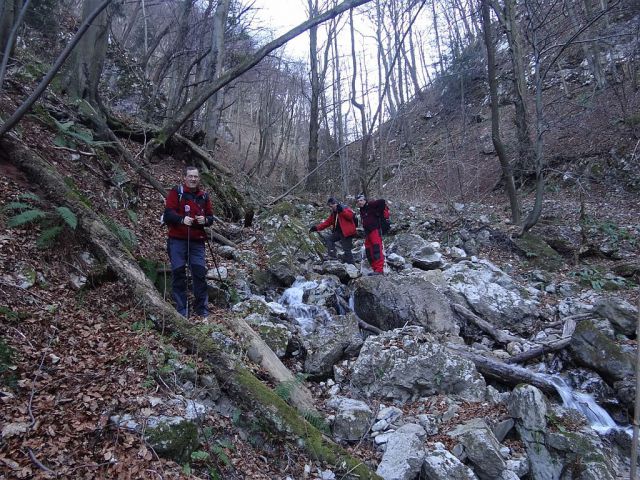 Loke-Krvavica-Čemšeniška plan.-15.1.2012 - foto
