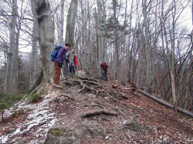 Hrastnik-Klobuk-Kal-Mrzlica-29.1.2012 - foto