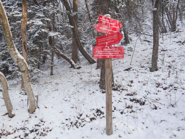 Vinska gora-Ramšakov vrh-Radojč-5.2.2012 - foto