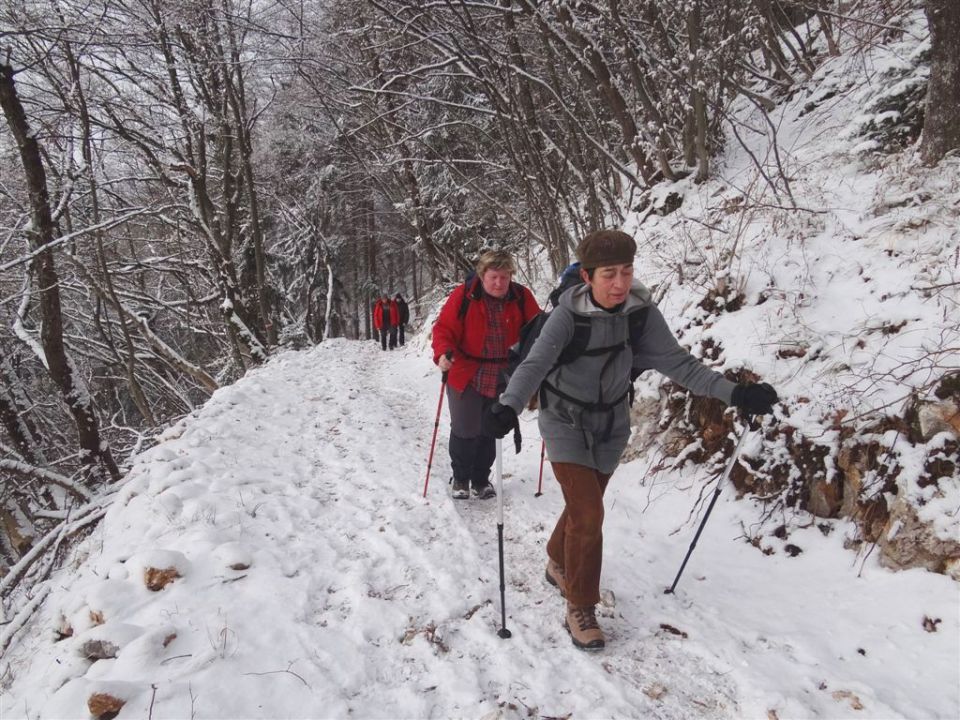 Vinska gora-Ramšakov vrh-Radojč-5.2.2012 - foto povečava