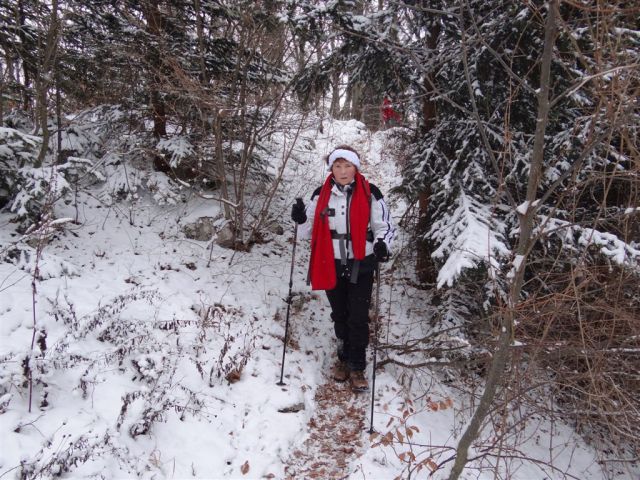 Vinska gora-Ramšakov vrh-Radojč-5.2.2012 - foto